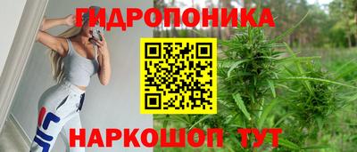 дурь Гусиноозёрск