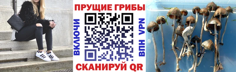 Галлюциногенные грибы MAGIC MUSHROOMS  Советская Гавань 