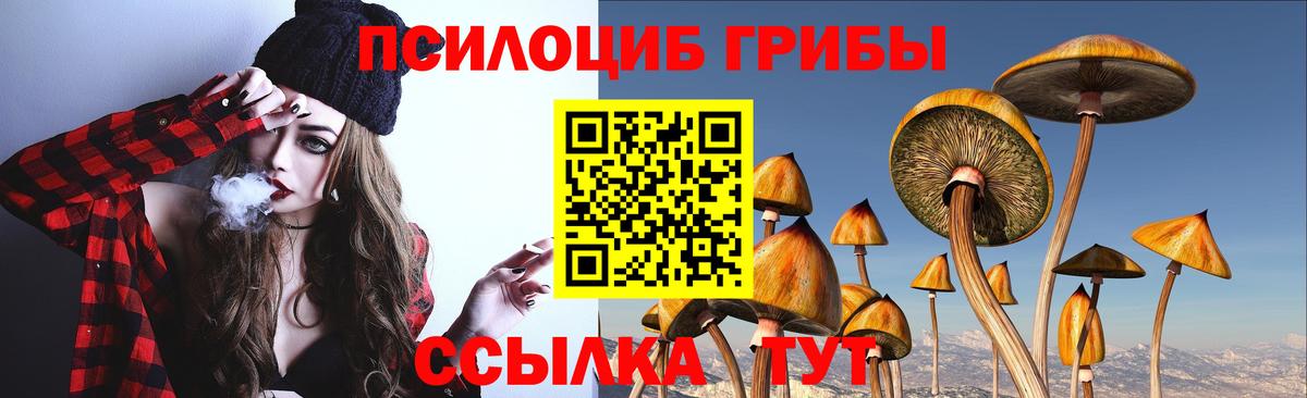 Галлюциногенные грибы GOLDEN TEACHER  Вход с VPN  даркнет сайт  Советская Гавань 
